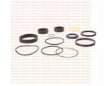 Genie 84291GT, Seal Kit Outrigger Cylinder #87376, TZ-34. Fixed Price $299.00.